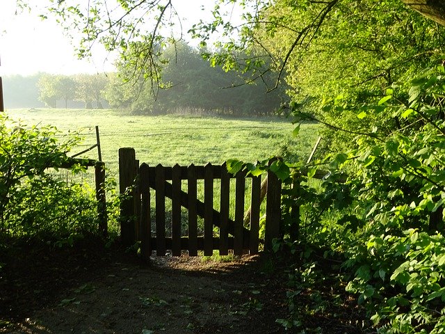 Free download Fence Nature Reserve -  free photo or picture to be edited with GIMP online image editor