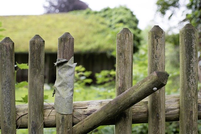 Free picture Fence Paling Garden Wood -  to be edited by GIMP free image editor by OffiDocs