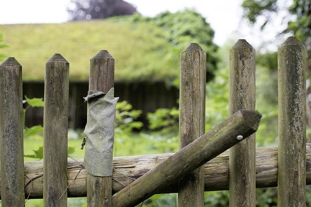 Kostenloser Download Fence Paling Garden Wood - kostenloses Foto oder Bild zur Bearbeitung mit GIMP Online-Bildbearbeitung