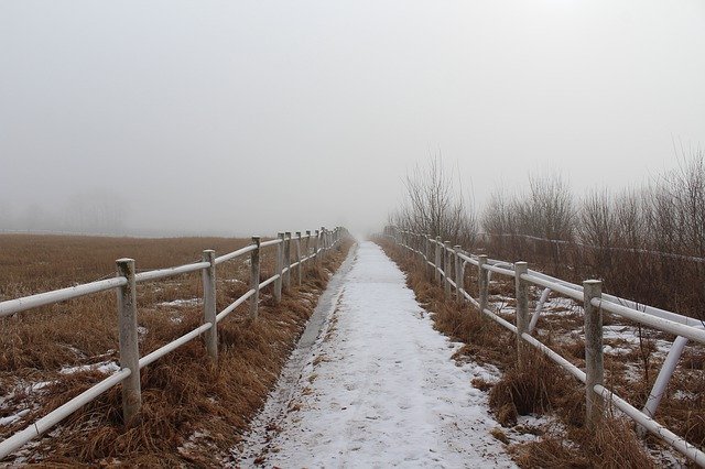 Free download Fence Perspective Nature -  free free photo or picture to be edited with GIMP online image editor