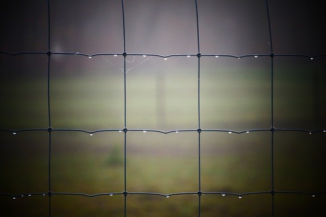 دانلود رایگان Fence Seal Mesh - عکس یا تصویر رایگان رایگان برای ویرایش با ویرایشگر تصویر آنلاین GIMP
