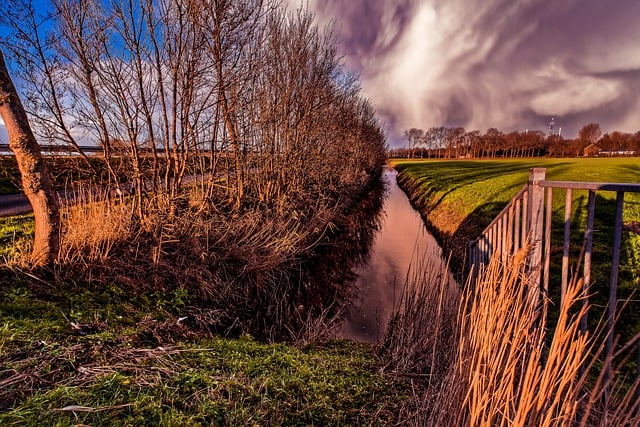 Free download fence trees clouds ditch free picture to be edited with GIMP free online image editor