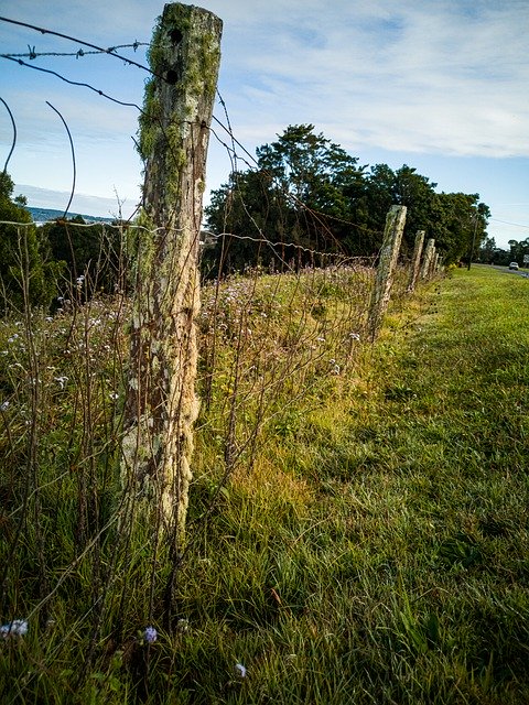 Téléchargement gratuit de Fence Wire Border - photo ou image gratuite à modifier avec l'éditeur d'images en ligne GIMP