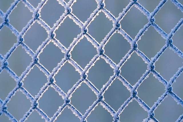 دانلود رایگان سیم حصار خورشید یخ زده زمستان سرد عکس رایگان برای ویرایش با ویرایشگر تصویر آنلاین رایگان GIMP