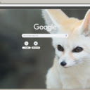 Fennec Fox  screen for extension Chrome web store in OffiDocs Chromium