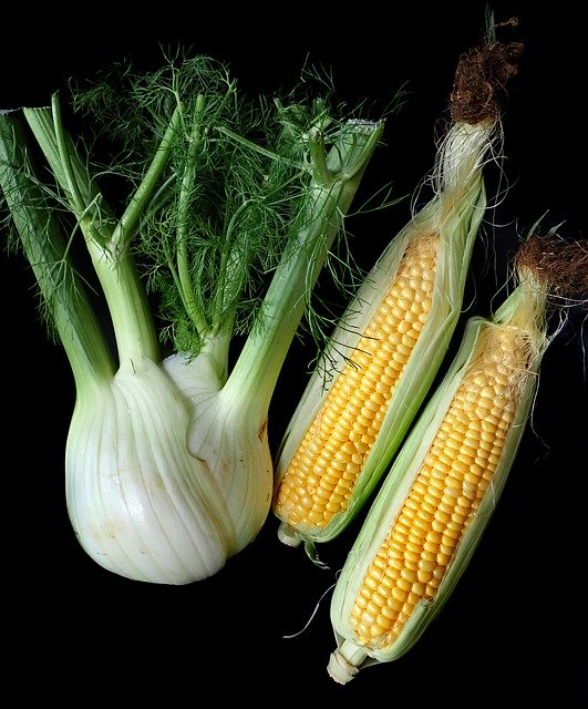 Descarga gratuita Verduras de maíz de hinojo: foto o imagen gratuita para editar con el editor de imágenes en línea GIMP