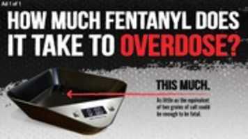Free download Fent OD 1 free photo or picture to be edited with GIMP online image editor