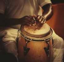 Free download Fercho Melodia free photo or picture to be edited with GIMP online image editor