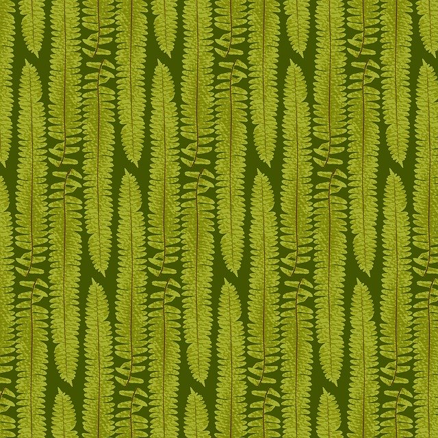 Free download Fern Texture Nature -  free illustration to be edited with GIMP free online image editor