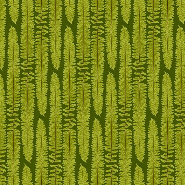 Free download Fern Texture Nature -  free illustration to be edited with GIMP free online image editor