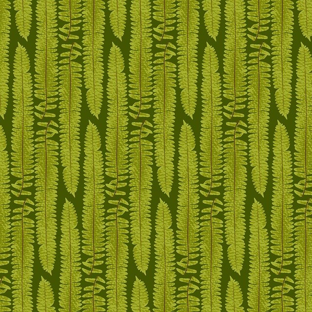 Libreng download Fern Texture Nature - libreng ilustrasyon na ie-edit gamit ang GIMP na libreng online na editor ng imahe