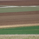 Fertile Field  screen for extension Chrome web store in OffiDocs Chromium