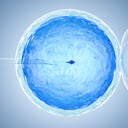 Fertility Support  screen for extension Chrome web store in OffiDocs Chromium