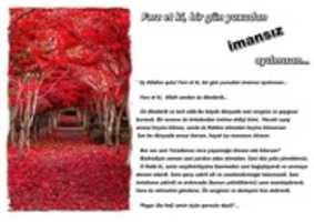 Free download Ferz Etki Imanin Alinib free photo or picture to be edited with GIMP online image editor