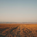 Field after harvest  screen for extension Chrome web store in OffiDocs Chromium