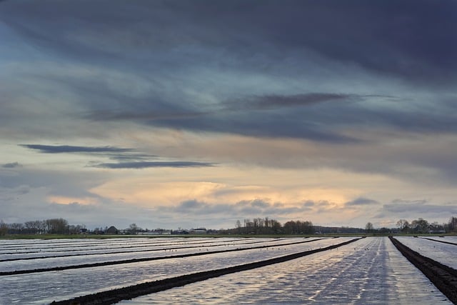 Descarga gratuita campo agricultura reflexión nubes imagen gratis para editar con GIMP editor de imágenes en línea gratuito