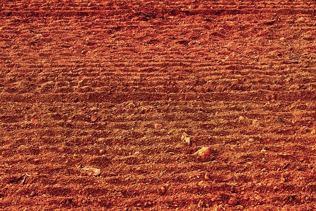 Free download Field Arable Agriculture -  free photo or picture to be edited with GIMP online image editor