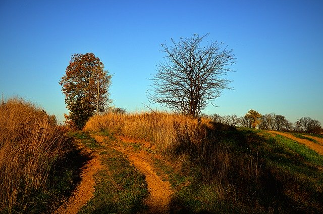 Free download Field Autumn -  free photo or picture to be edited with GIMP online image editor