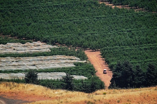 Free download field buggy dirt road red dirt road free picture to be edited with GIMP free online image editor