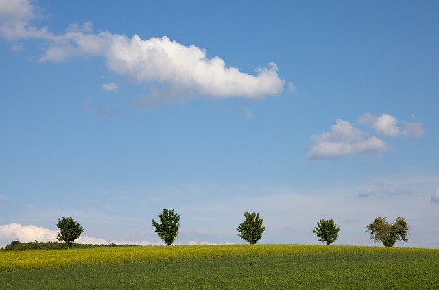 Muat turun percuma Field Clouds Trees - foto atau gambar percuma untuk diedit dengan editor imej dalam talian GIMP