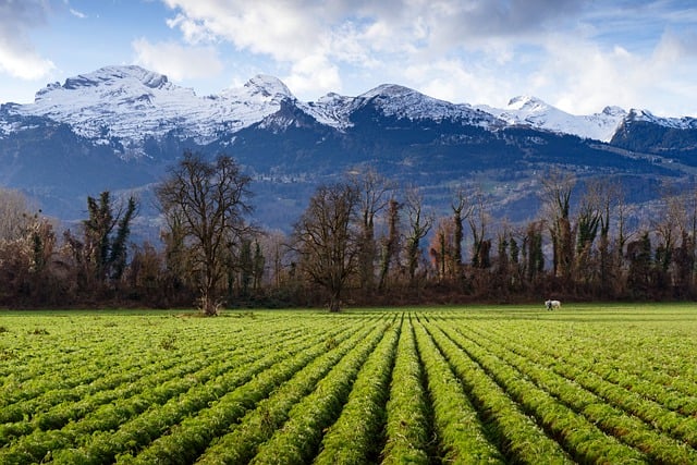 Free download field farm agriculture mountains free picture to be edited with GIMP free online image editor