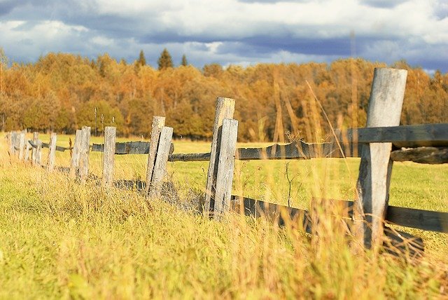Free download Field Fence Grass -  free photo or picture to be edited with GIMP online image editor