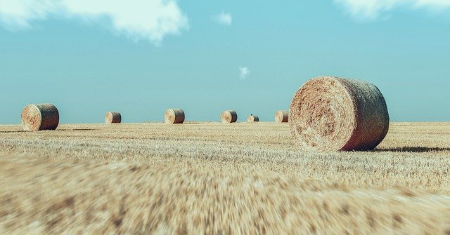 Descarga gratuita Field Fields Agriculture - foto o imagen gratuita para editar con el editor de imágenes en línea GIMP