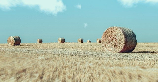 無料ダウンロードFieldFieldsAgriculture-GIMPオンライン画像エディタで編集できる無料の写真または画像