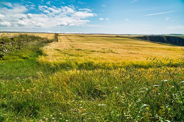 دانلود رایگان Field Fields Grass - عکس یا تصویر رایگان قابل ویرایش با ویرایشگر تصویر آنلاین GIMP