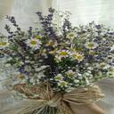 field flower bouquet wallpaper  screen for extension Chrome web store in OffiDocs Chromium
