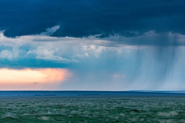 Téléchargement gratuit d'une image gratuite de safari sous la pluie dans la réserve de gibier sur le terrain à modifier avec l'éditeur d'images en ligne gratuit GIMP