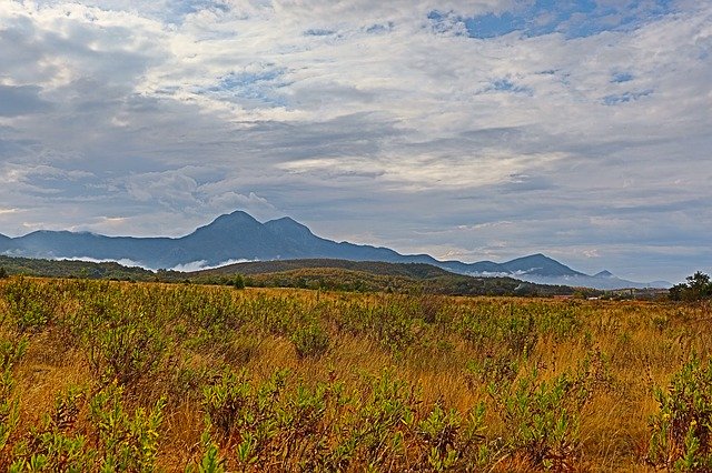 ดาวน์โหลดฟรี Field Gold Nature - ภาพถ่ายหรือรูปภาพฟรีที่จะแก้ไขด้วยโปรแกรมแก้ไขรูปภาพออนไลน์ GIMP