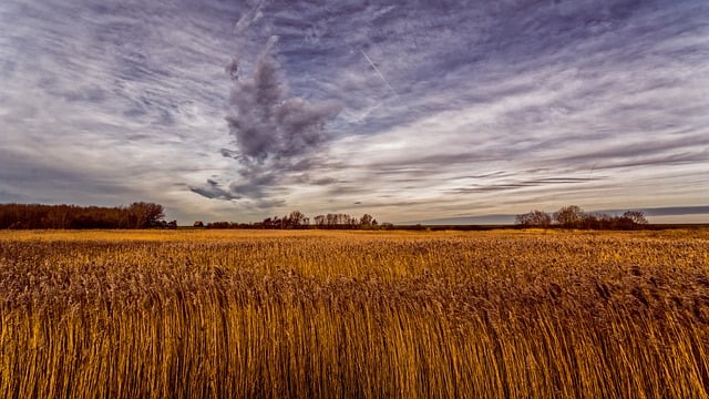 Free download field grass dyke clouds horizon free picture to be edited with GIMP free online image editor