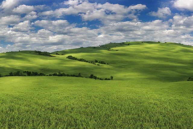 Free download field grass plain sky clouds free picture to be edited with GIMP free online image editor