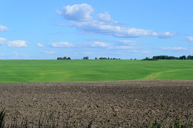 Free download Field Green Arable Land -  free photo or picture to be edited with GIMP online image editor