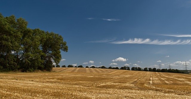 Téléchargement gratuit de Field Green Gold - photo ou image gratuite à éditer avec l'éditeur d'images en ligne GIMP