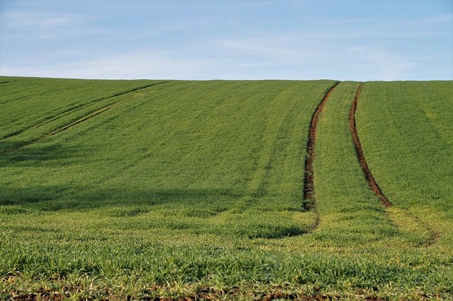 Scarica gratuitamente l'immagine gratuita della traccia universitaria di semina verde del campo da modificare con l'editor di immagini online gratuito GIMP