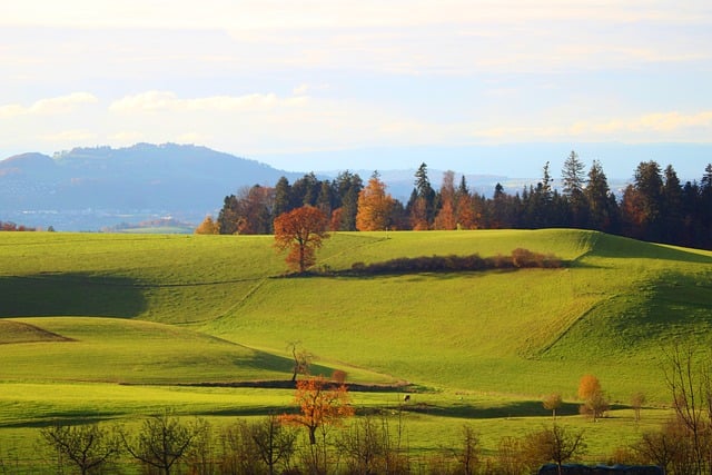Free download field hill autumn landscape nature free picture to be edited with GIMP free online image editor