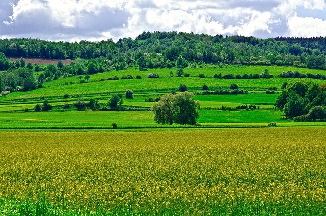 Free download field hill landscape nature spring free picture to be edited with GIMP free online image editor