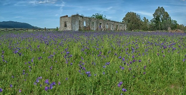 Téléchargement gratuit de Field House - photo ou image gratuite à modifier avec l'éditeur d'images en ligne GIMP