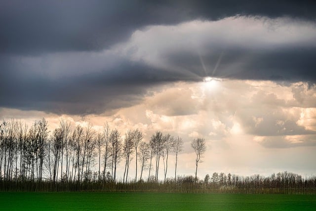 Free download field meadow trees clouds sunbeams free picture to be edited with GIMP free online image editor
