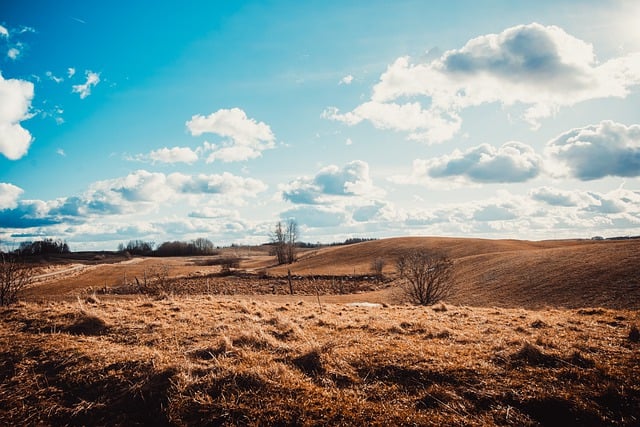 Free download field meadow trees nature wallpaper free picture to be edited with GIMP free online image editor