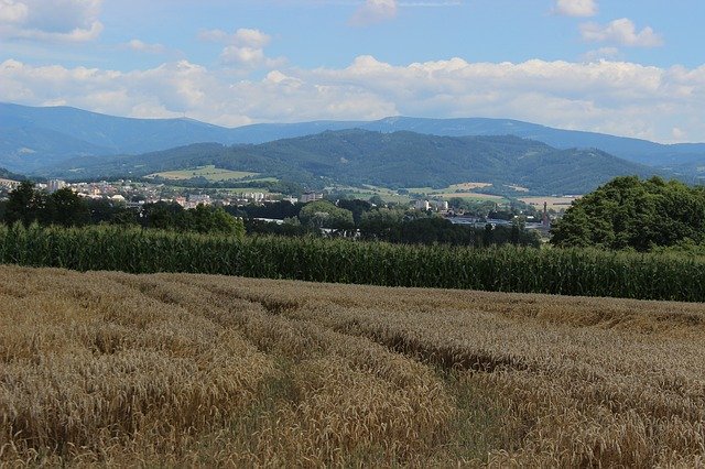 Free download Field Mesto Mountains free photo template to be edited with GIMP online image editor