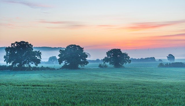 Скачать бесплатно Field Mist Calm - бесплатное фото или изображение для редактирования с помощью онлайн-редактора изображений GIMP