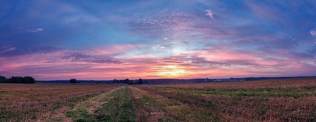 Download gratuito Field Morning Landscape - foto o immagine gratuita da modificare con l'editor di immagini online di GIMP