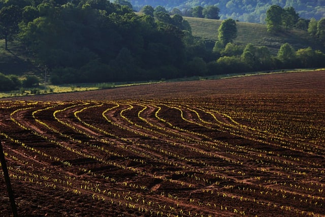 Ücretsiz indir alan doğa çiftlik tarım ücretsiz resim GIMP ücretsiz çevrimiçi resim düzenleyici ile düzenlenecek