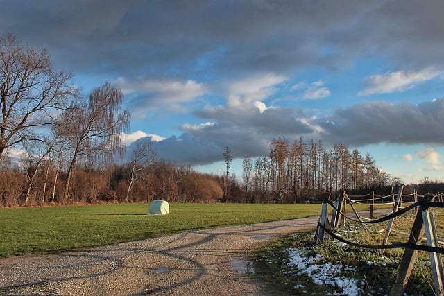 Download gratuito percorso campo autunno balla di fieno strada immagine gratuita da modificare con l'editor di immagini online gratuito di GIMP