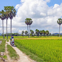 Field road  screen for extension Chrome web store in OffiDocs Chromium