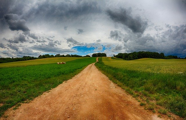 Téléchargement gratuit de Field Road Nature - photo ou image gratuite à éditer avec l'éditeur d'images en ligne GIMP