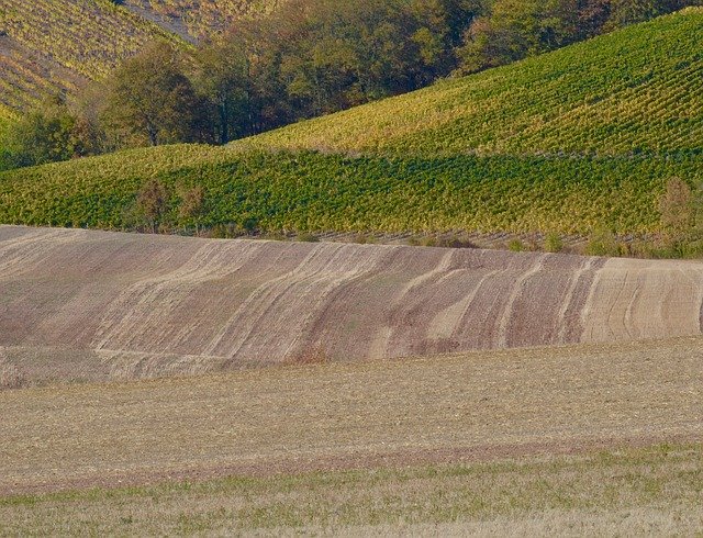 Download gratuito Fields Agriculture Landscape: foto o immagine gratuita da modificare con l'editor di immagini online GIMP